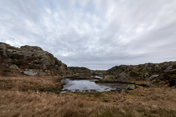 Fototapeta na wymiar Pond by the trail in brown coastal winter landscape, at the Rovaer archipelago, Rovaer island in Haugesund, Norway.