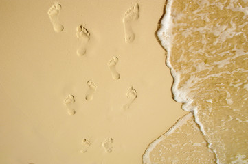 footsteps trial in sand beach scene