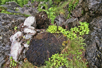 Intact nature under Mount Olympus, Greece