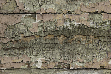 .Peeling paint on a wooden wall