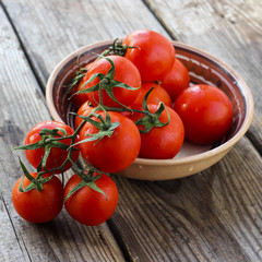 Ripe natural tomatoes bunch