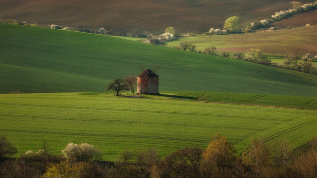old windmills in Moravia region, Czech Republic in green spring landscape