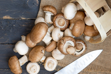 Champignons in a wooden basket. Knife chef.
