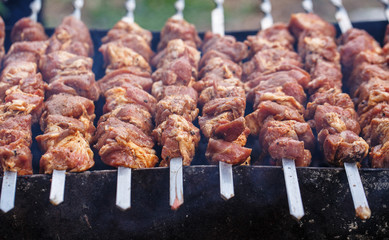 Cooking meat on the fire.