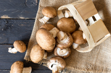 Mushrooms are scattered on the kitchen table.