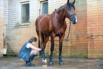 Young lady washing horse hoof by stream of water from a hose