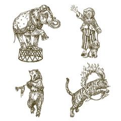Fototapeta na wymiar Vintage circus set. Elephant, clown with dog, bear and tiger. Engraving style. Vector illustration.