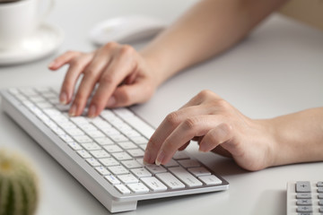 Fototapeta na wymiar woman hands typing