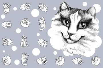 Hand drawing cat. Seamless pattern. Hand drawn cat with abstract patterns on isolated background. Art creative