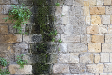 An ancient wall with moss in Kyrenia, North Cyprus