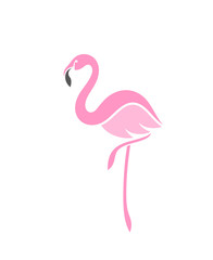 Obraz premium Flaming. Logo