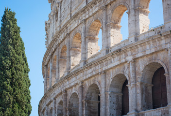 Colosseum and cypress in a horizontal format