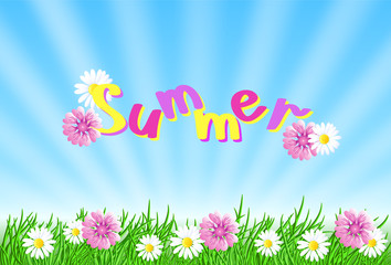 Summer landscape with sun rays in the sky, meadow flowers and grass