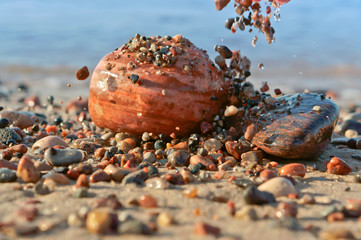 Sea stones. Big and small stones from the sea. Stones of different size and color.