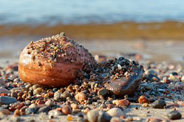 Sea stones. Big and small stones from the sea. Stones of different size and color.
