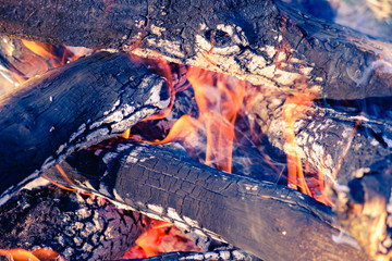 burning bonfire in camp, preparing charcoal for barbecue, natural fuel, abstract fire natural background