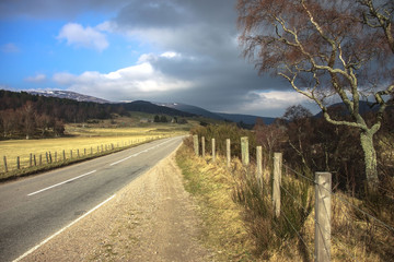 Fototapeta na wymiar Scottish landscape. Royal Deeside, Aberdeenshire, Scotland, United Kingdom.