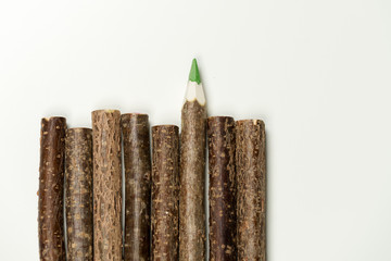 Wooden crayons, concept for stand out and be different