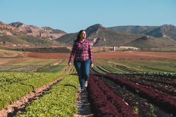 young technical woman walking in a field of lettuces