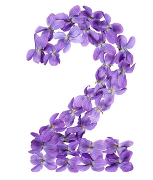 Arabic numeral 2, two, from flowers of viola, isolated on white background