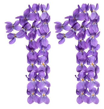 Arabic numeral 11, eleven, from flowers of viola, isolated on white background