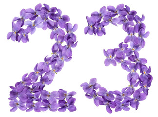 Arabic numeral 23, twenty three, from flowers of viola, isolated on white background