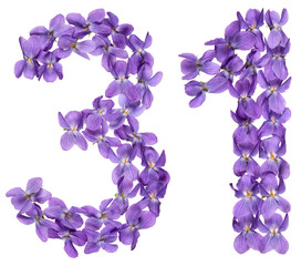 Fototapeta na wymiar Arabic numeral 31, thirty one, from flowers of viola, isolated on white background
