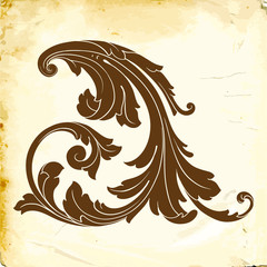 Vector baroque of vintage elements for design.