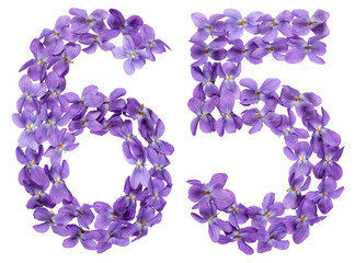 Arabic numeral 65, sixty five, from flowers of viola, isolated on white background