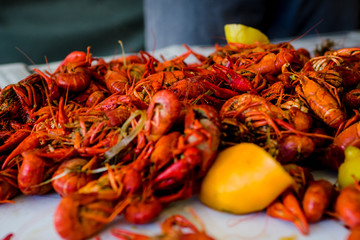 Crawfish Closeup