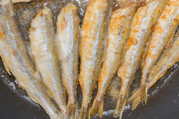 Cooking fried fish smelt rolled in flour