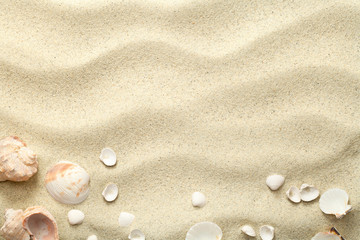 Naklejka na ściany i meble Sand Background with Shells