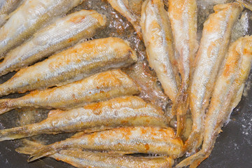 Cooking fried fish smelt rolled in flour