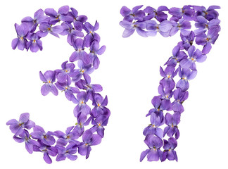 Arabic numeral 37, thirty seven, from flowers of viola, isolated on white background