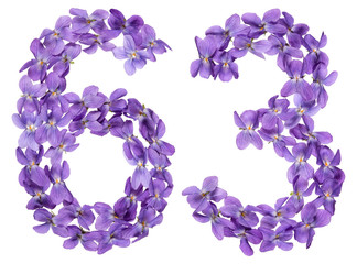 Arabic numeral 63, sixty three, from flowers of viola, isolated on white background