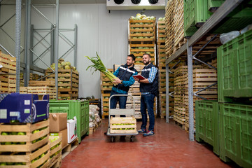 Fresh vegetables in warehouse