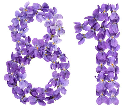 Arabic numeral 81, eighty one, from flowers of viola, isolated on white background