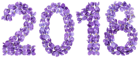 Numeral 2018 from flowers of viola, isolated on white background