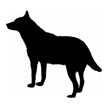 dog wolf black silhouette isolate on white background vector illustration