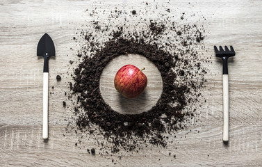 wooden background concept earth piled circle dish spoon fork fork rake texture planting center...