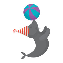 Cartoon Circus seal playing a ball over white background, colorful design. vector illustration