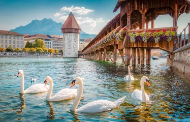 Papier Peint photo Europe centrale Ville historique de Lucerne avec le célèbre Pont de la Chapelle, Suisse