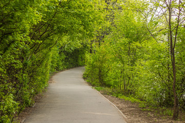 The drive to nowhere