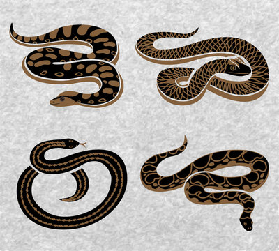 Black Snakes Set