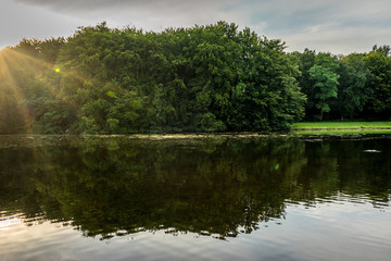 Water pond in Haagse Bos, forest in The Hague