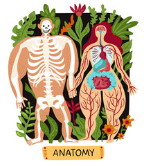 Human Anatomy Set