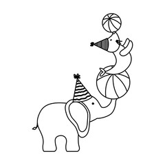 circus elephant and seal over white background, vector illustration