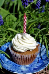 Birthday cupcake with a single candle in a garden background