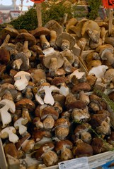 イタリアの食材と市場の風景