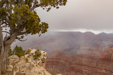  Views of South Rim at Grand Canyon National Park, Arizona